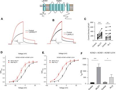 Pharmacological rescue of specific long QT variants of KCNQ1/KCNE1 channels